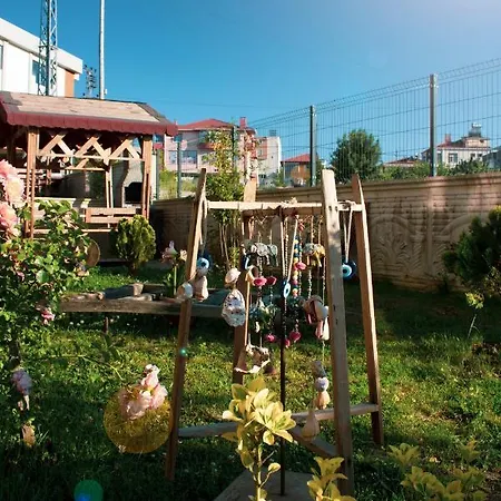 Kuzey * Sinope