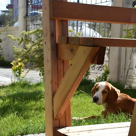 Kuzey *